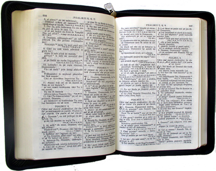 Peste 50 de modele de Biblii pentru tine