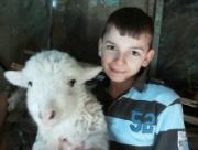 O familie saraca cu 13 copii a primit de Sarbatori 11 capre gestante pentru dezvoltarea unei microferme de familie