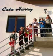 Casa Harry pentru 8 copii în județul Arad! Află cum poți ajuta.