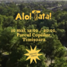 Alo Tata! - Ziua tatălui 2026