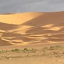 Sahaurii din Sahara