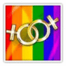Cale libera casatoriilor homosexuale in California
